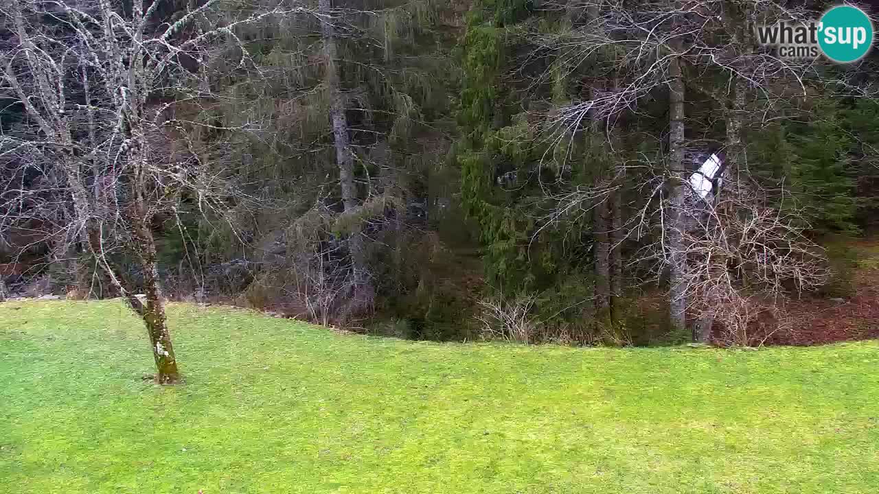 Web kamera Lukanja – Water Village | Pohorje Houses