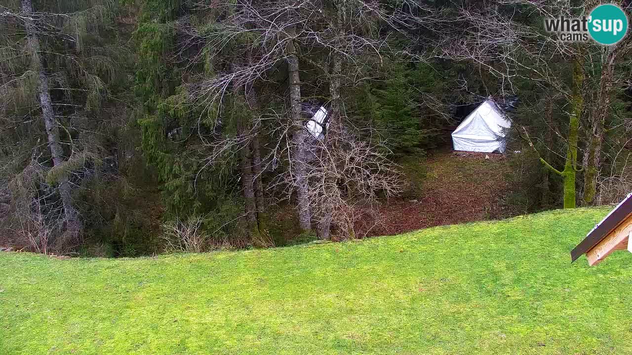 Webcam Lukanja – Pohorje houses a Water village