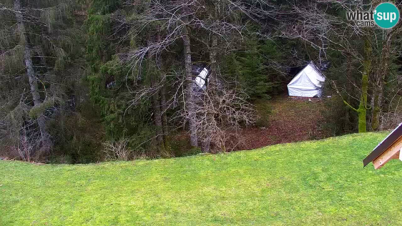 Webcam Lukanja – Pohorje houses a Water village