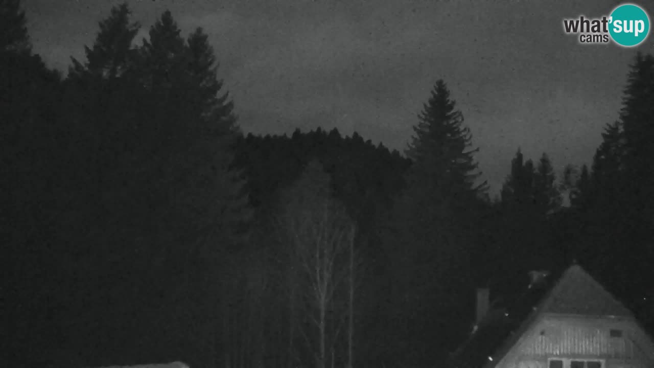 Webcam Lukanja – Water Village | Pohorje Houses