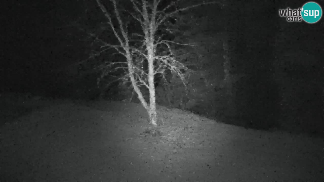 Webcam Lukanja – Pohorje houses a Water village