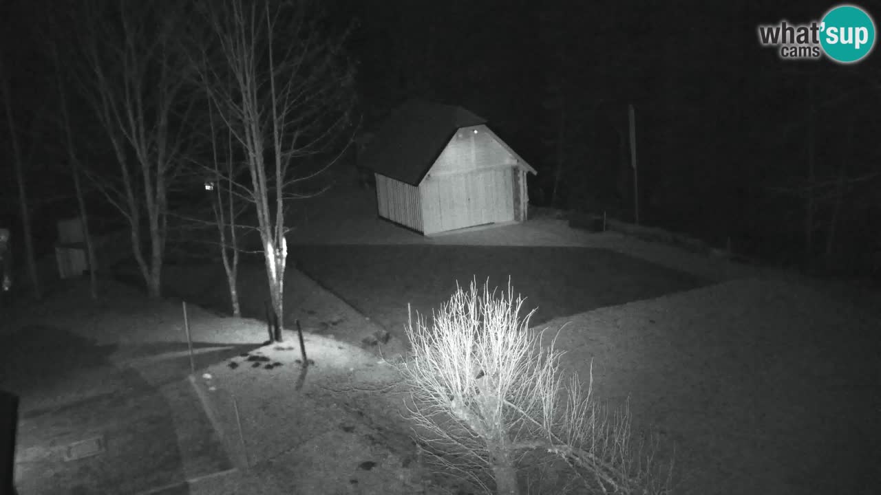 Webcam Lukanja – Water Village | Pohorje Houses