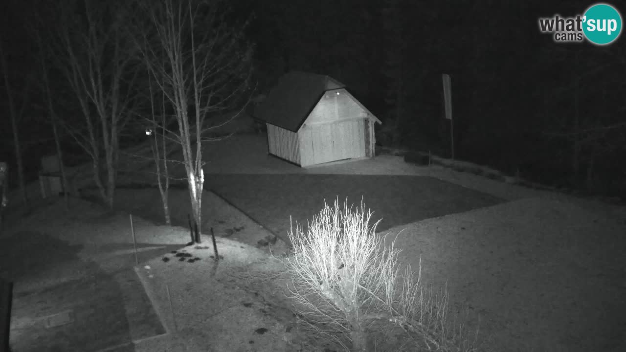 Webcam Lukanja – Pohorje houses a Water village