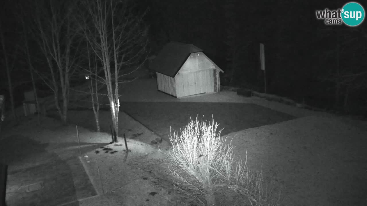 Web kamera Lukanja – Water Village | Pohorje Houses