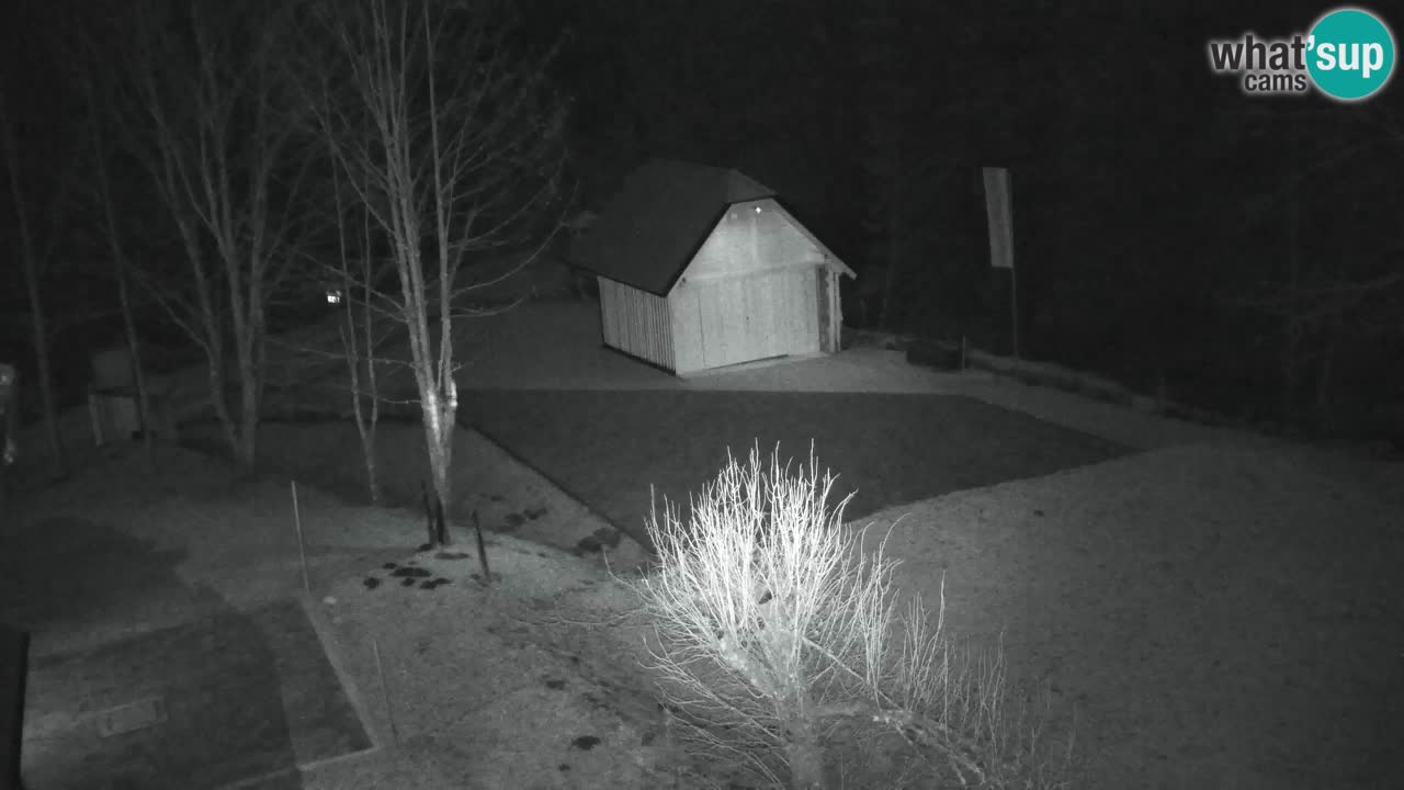 Spletna kamera Lukanja – Water Village | Pohorje Houses