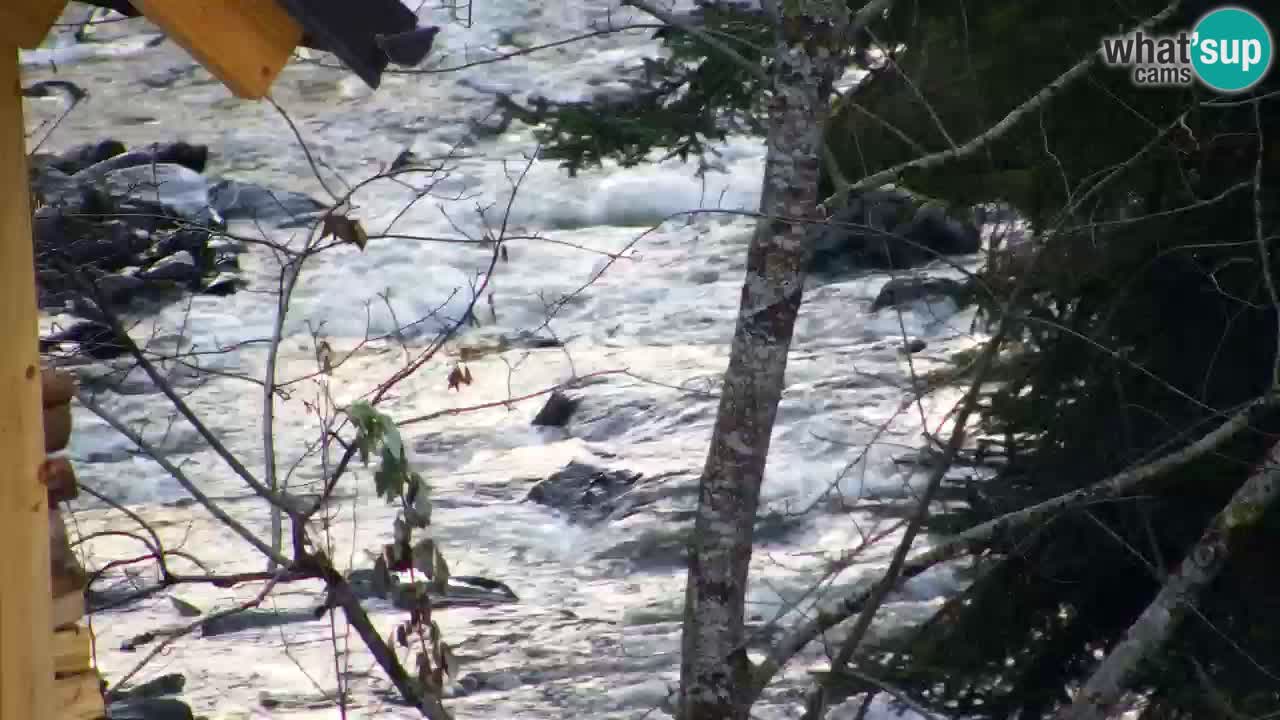 Webcam Lukanja – Pohorje houses a Water village