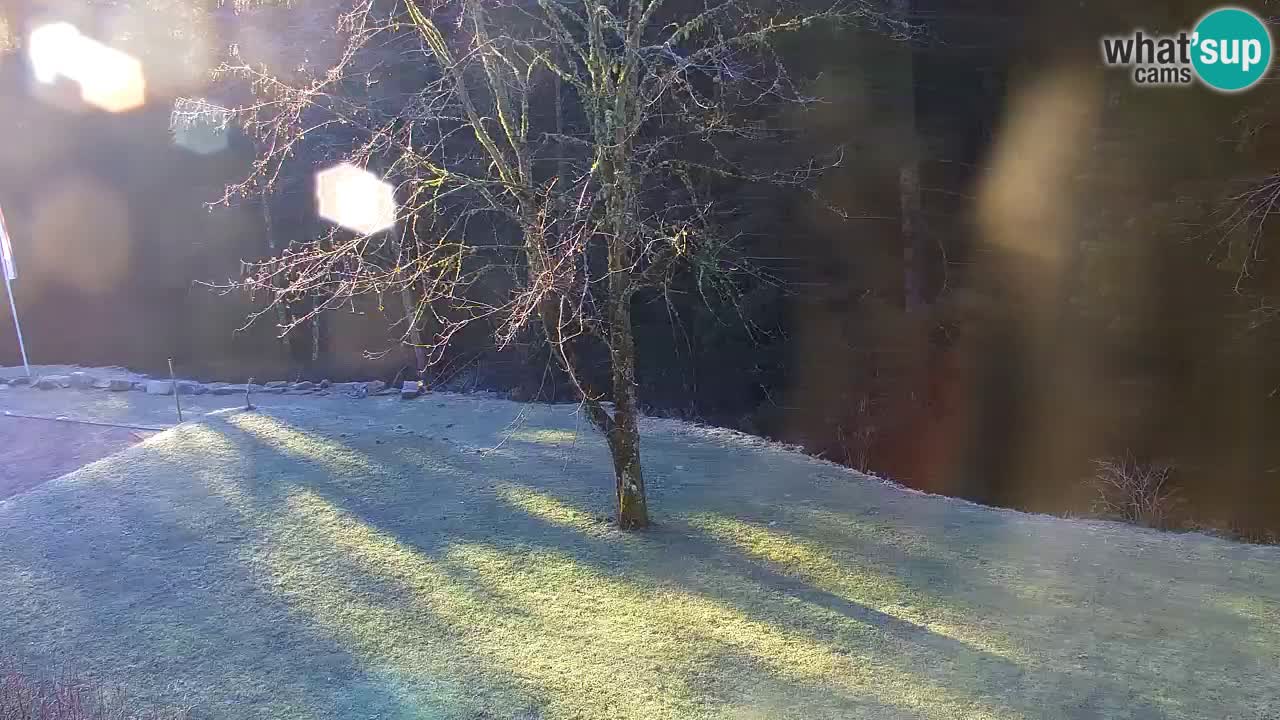 Webcam Lukanja – Pohorje houses a Water village