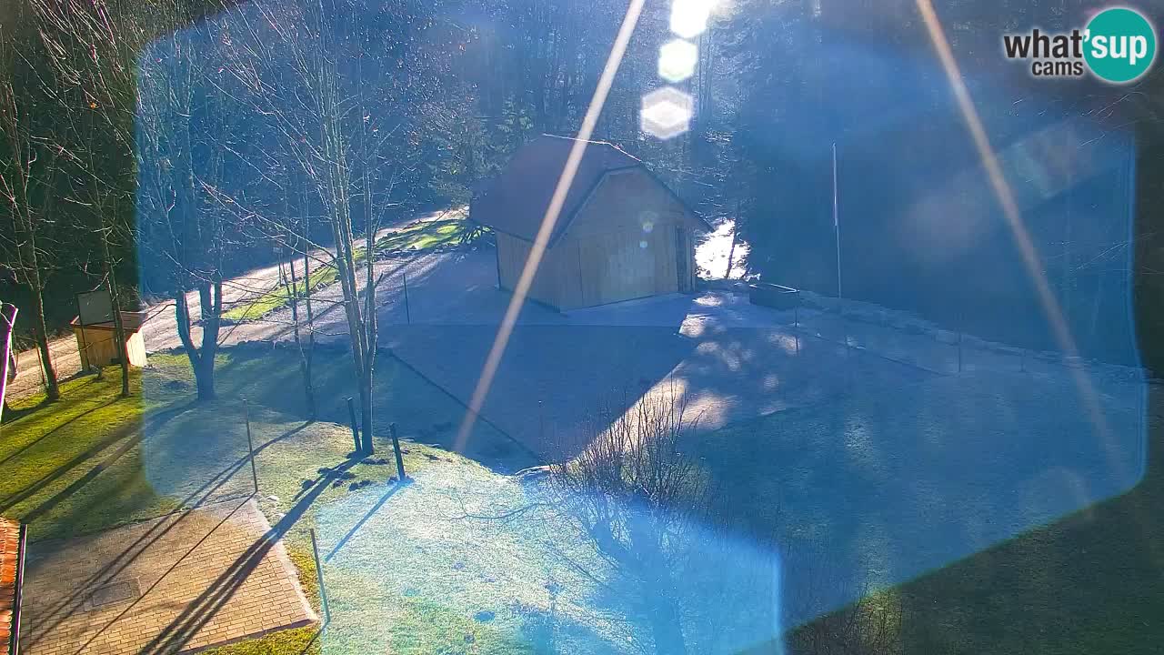Webcam Lukanja – Water Village | Pohorje Houses