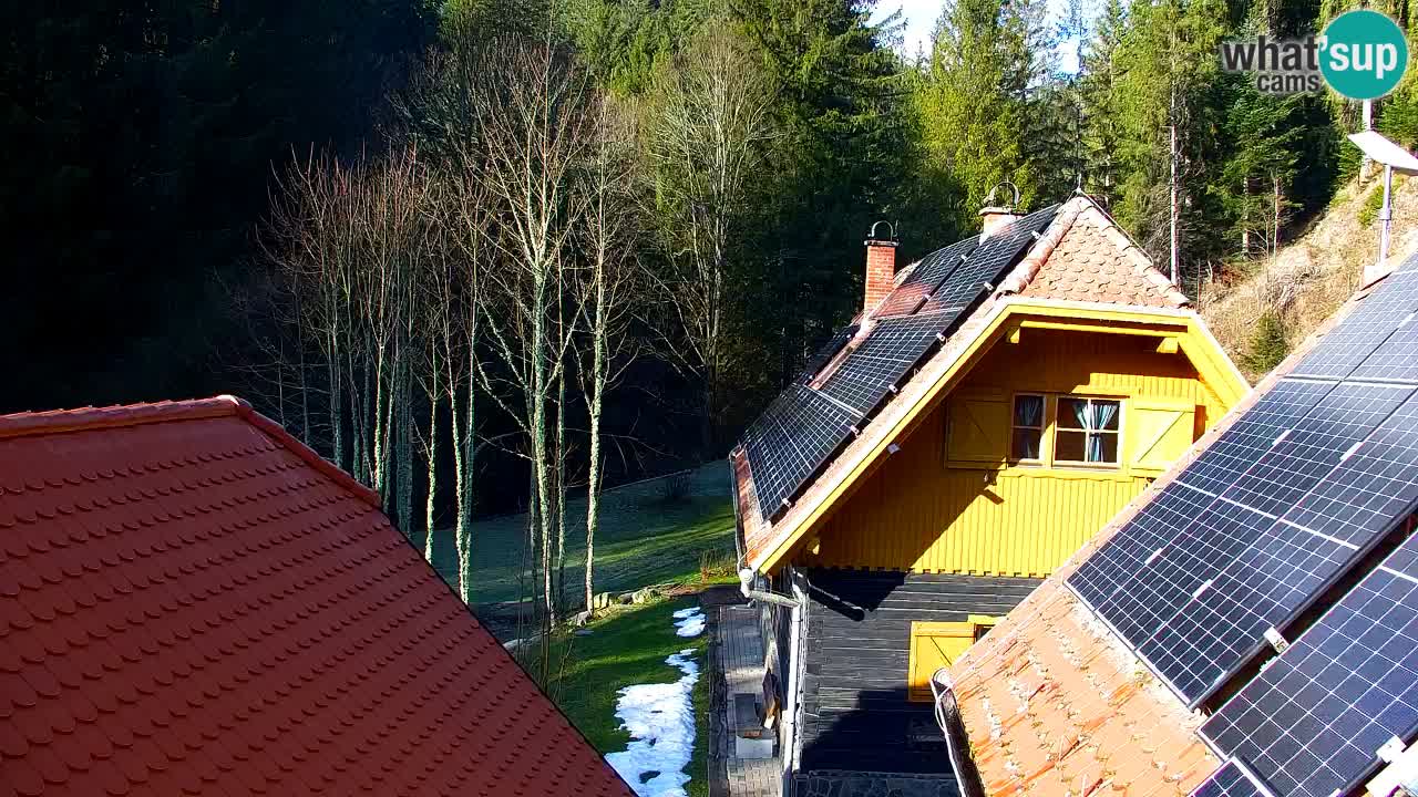 Webcam Lukanja – Water Village | Pohorje Houses