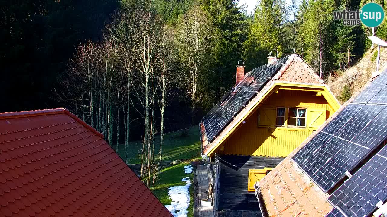Webcam Lukanja – Pohorje houses a Water village