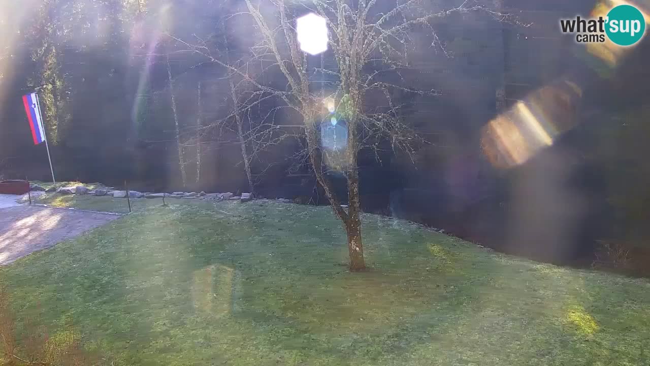 Webcam Lukanja – Pohorje houses a Water village