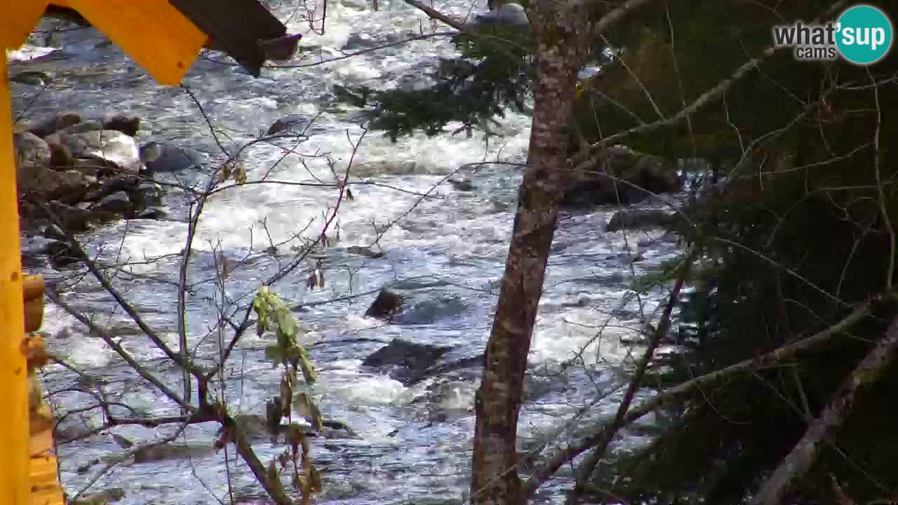 Webcam Lukanja – Water Village | Pohorje Houses