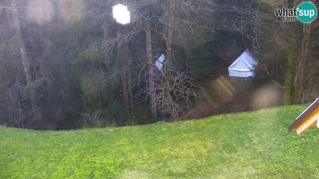 Webcam Lukanja – Water Village | Pohorje Houses