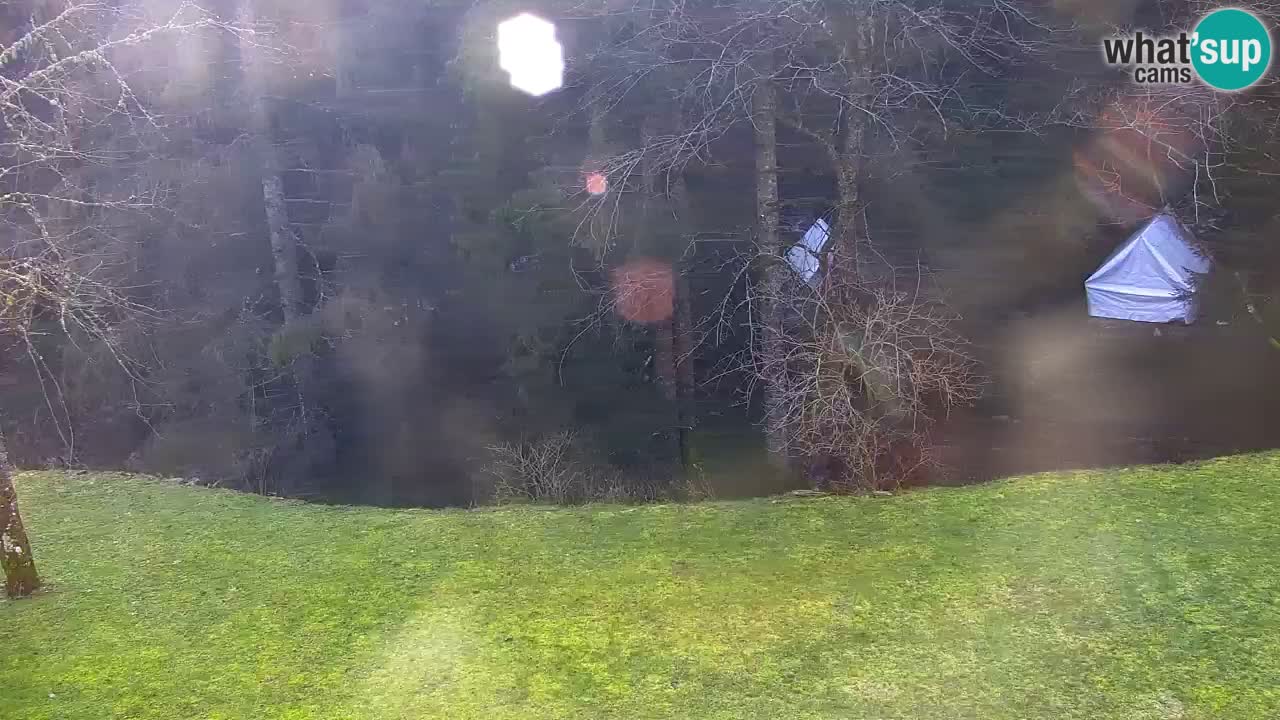 Webcam Lukanja – Pohorje houses a Water village