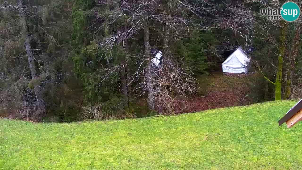 Spletna kamera Lukanja – Water Village | Pohorje Houses