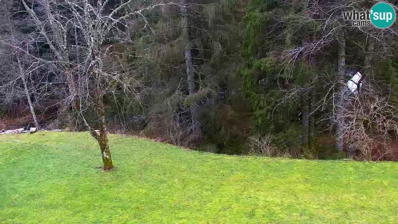 Webcam Lukanja – Water Village | Pohorje Houses