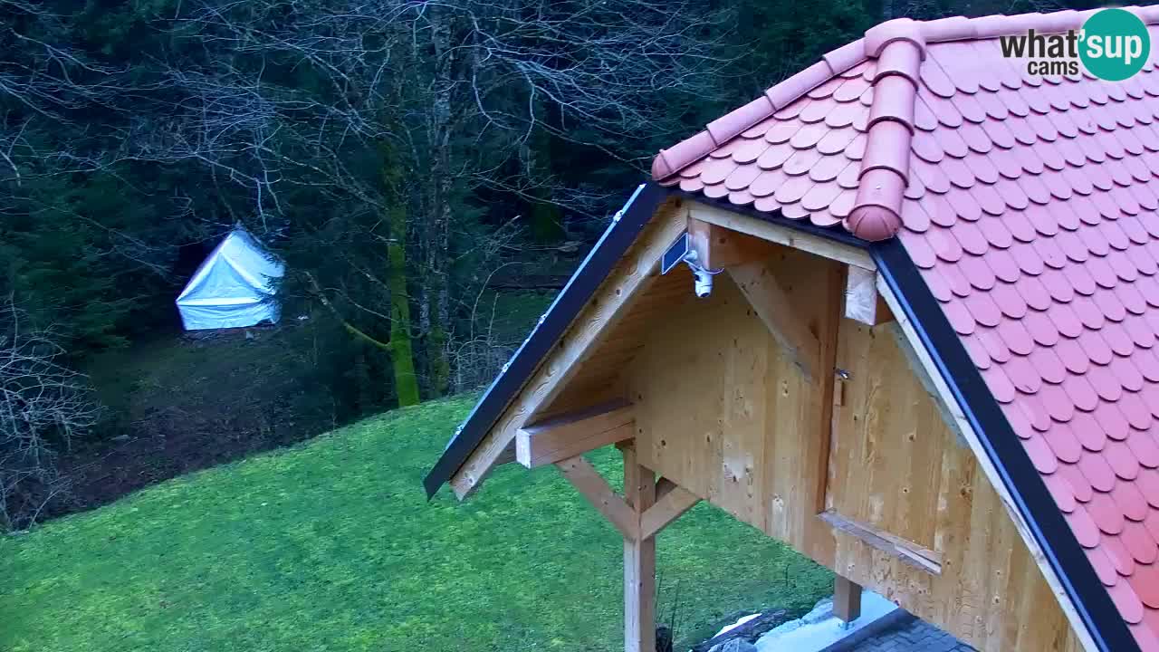 Webcam Lukanja – Pohorje houses a Water village