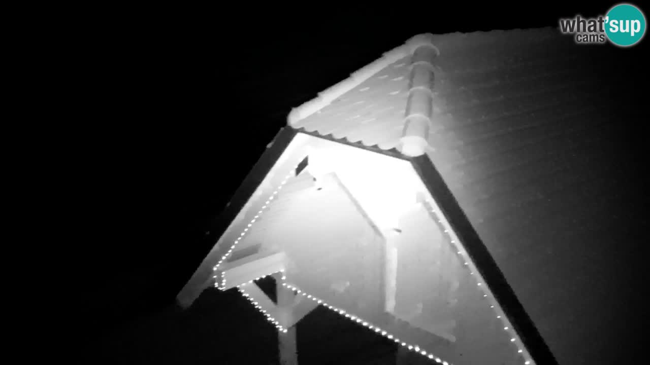 Web kamera Lukanja – Water Village | Pohorje Houses