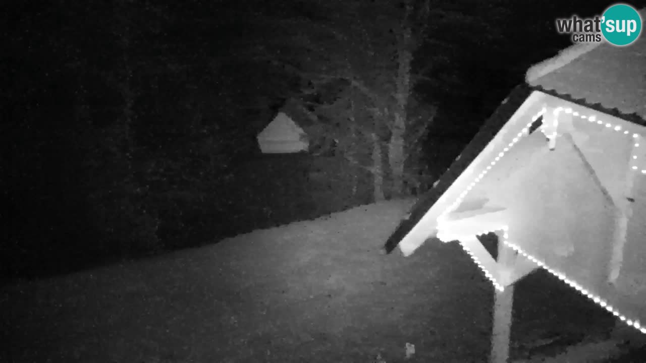 Webcam Lukanja – Pohorje houses a Water village