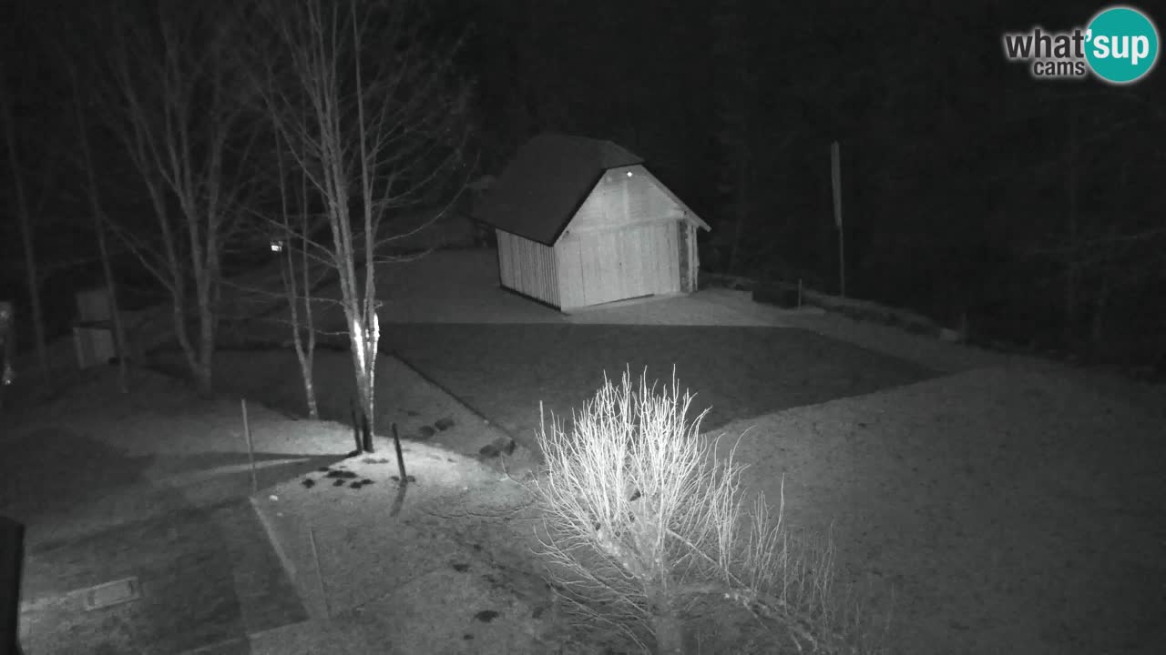 Webcam Lukanja – Water Village | Pohorje Houses