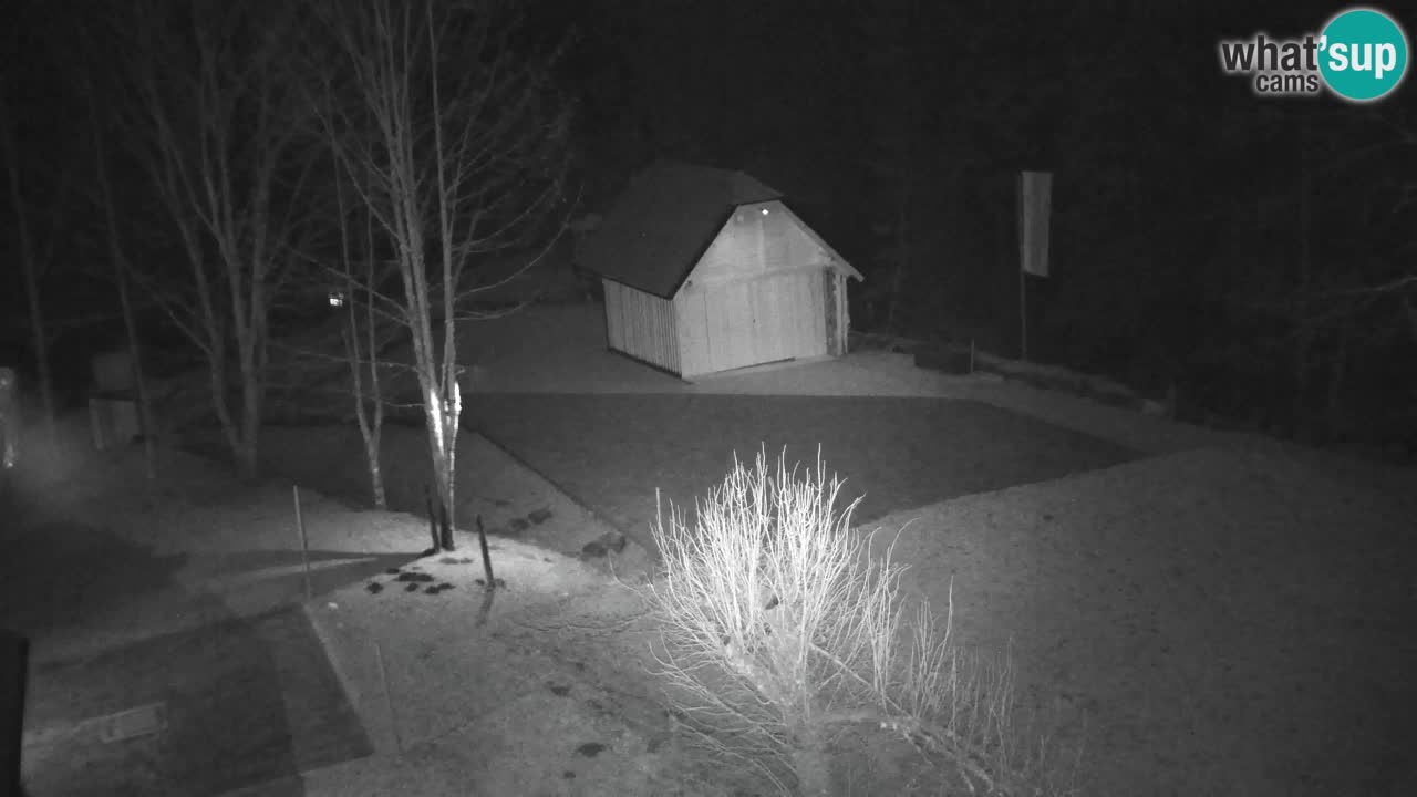 Webcam Lukanja – Pohorje houses a Water village