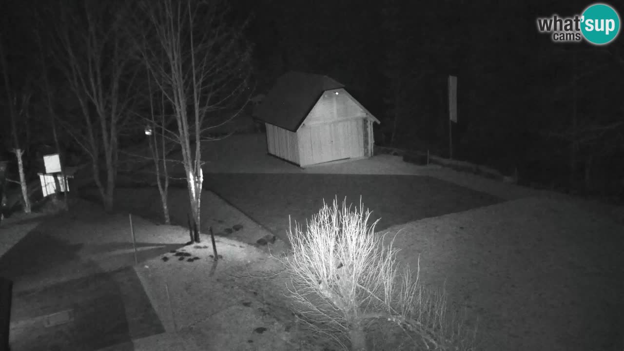 Web kamera Lukanja – Water Village | Pohorje Houses