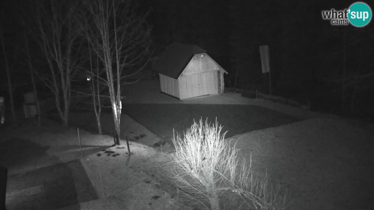 Webcam Lukanja – Water Village | Pohorje Houses