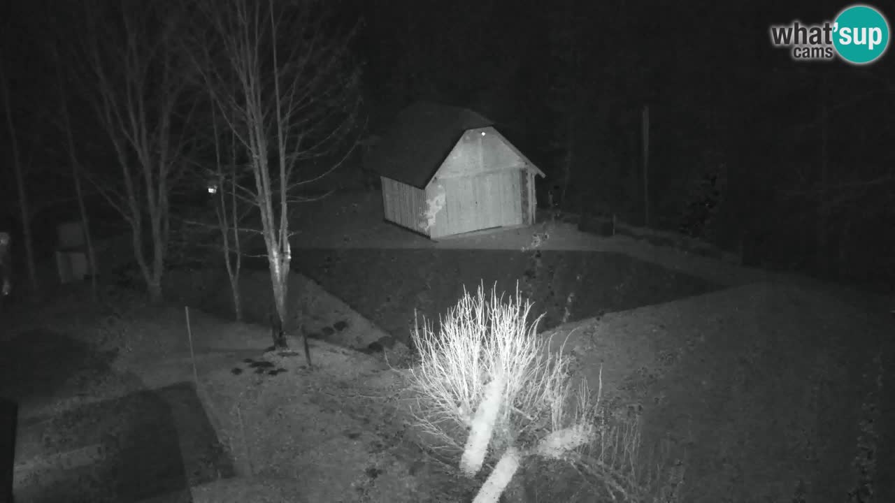 Webcam Lukanja – Water Village | Pohorje Houses