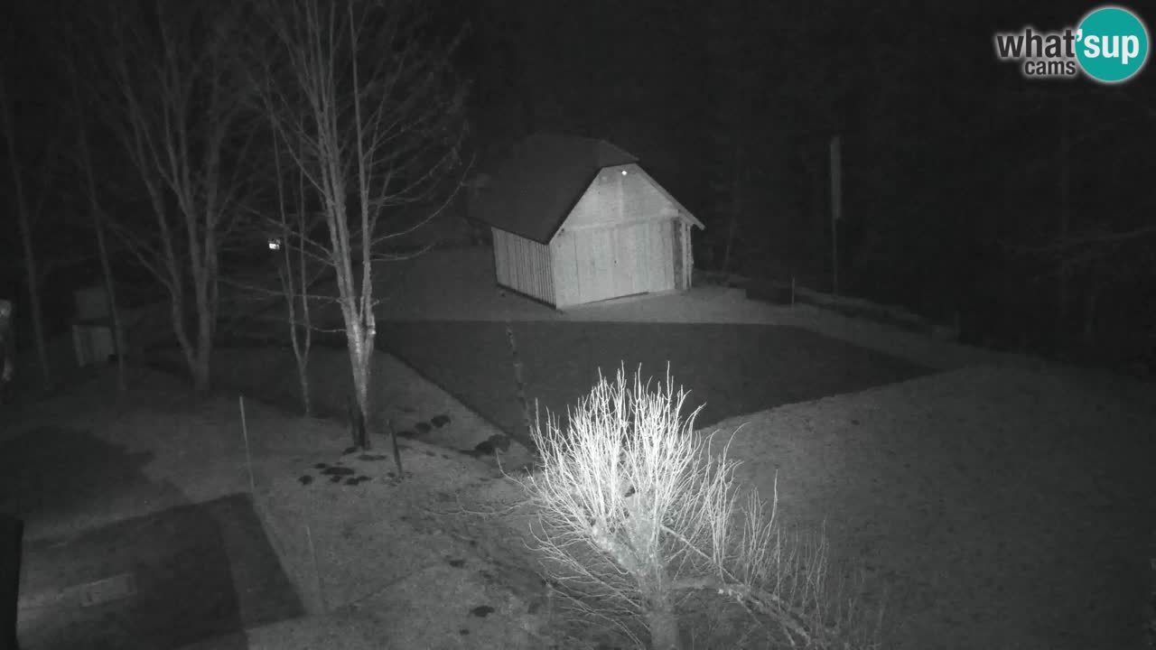 Webcam Lukanja – Pohorje houses a Water village