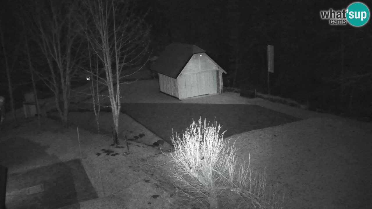 Webcam Lukanja – Pohorje houses a Water village