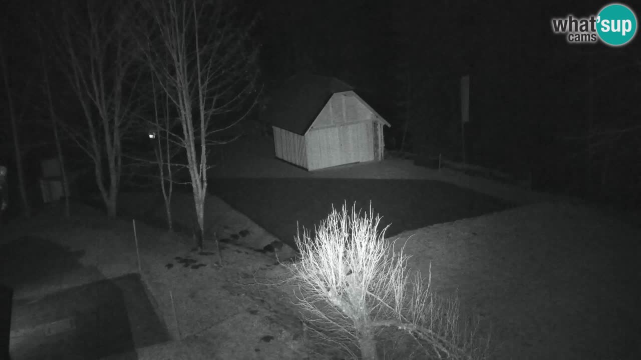 Spletna kamera Lukanja – Water Village | Pohorje Houses