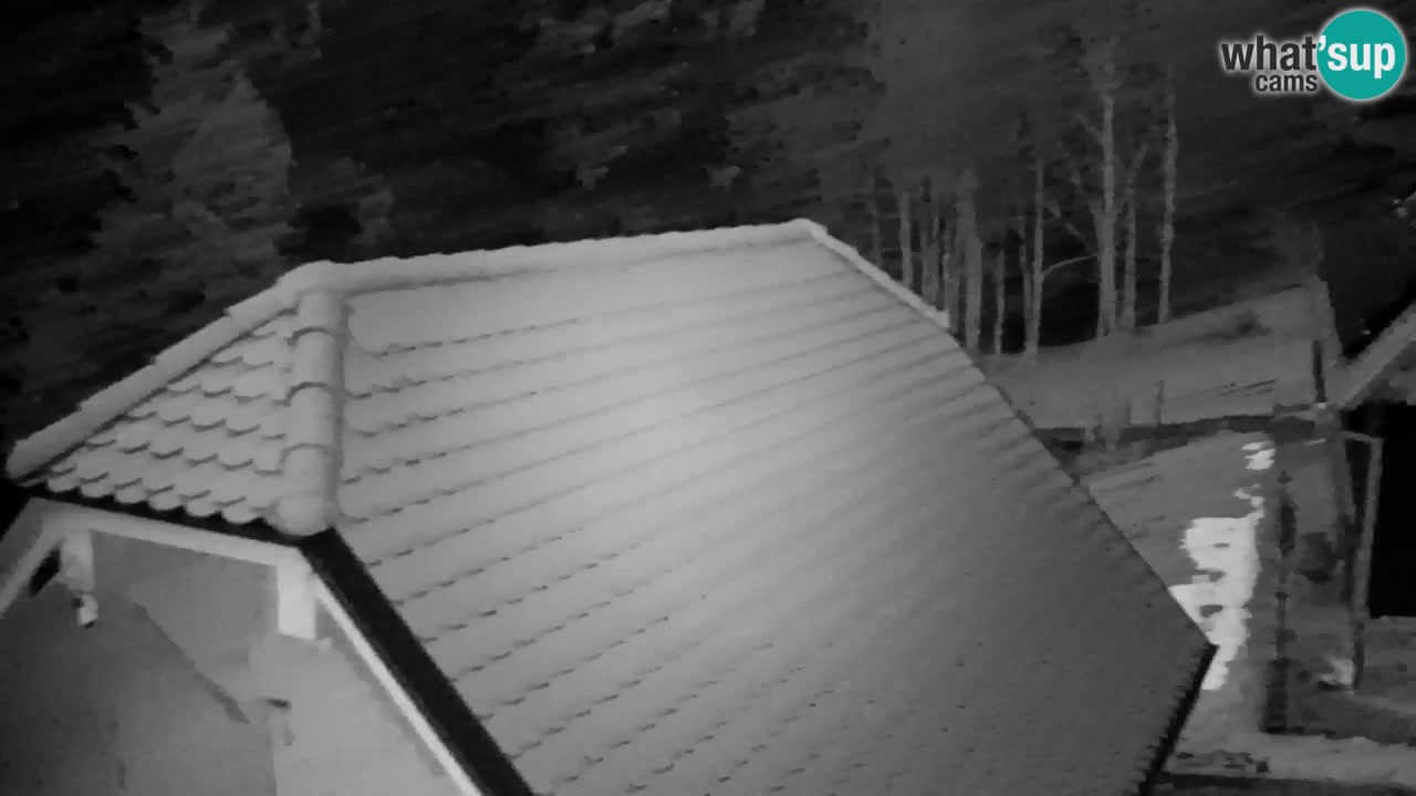 Web kamera Lukanja – Water Village | Pohorje Houses