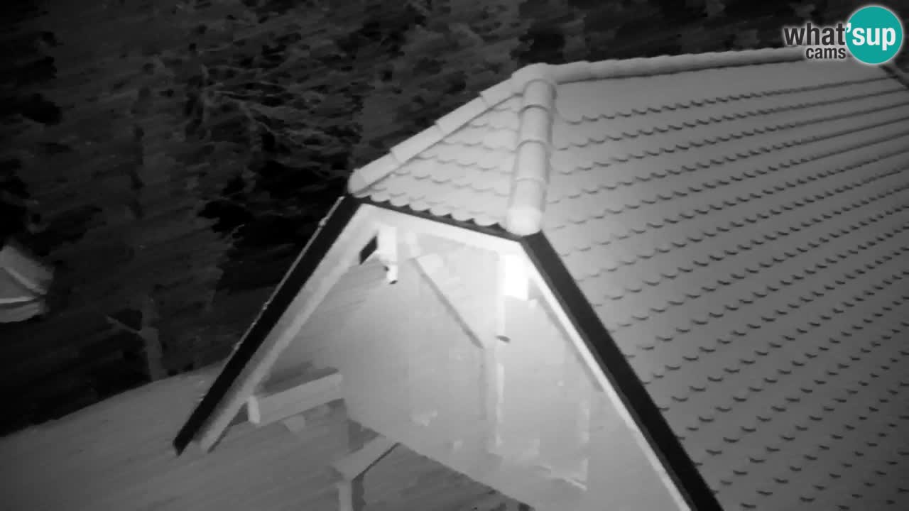 Webcam Lukanja – Water Village | Pohorje Houses