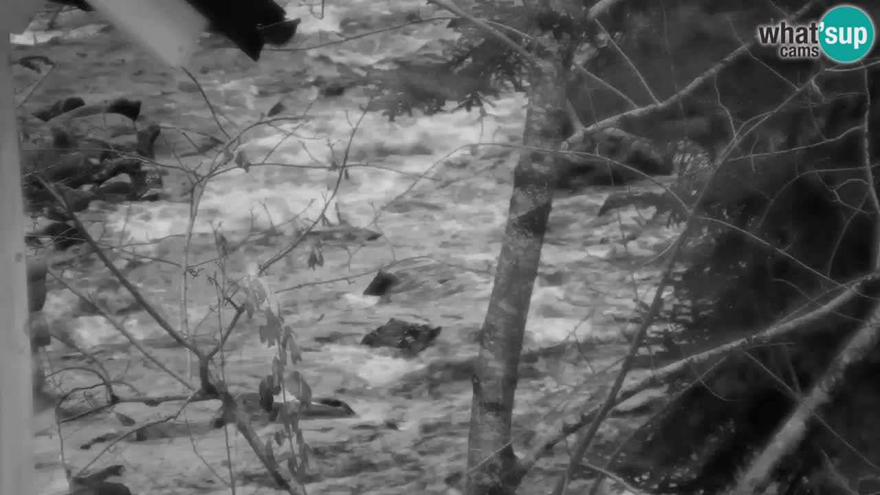 Webcam Lukanja – Water Village | Pohorje Houses