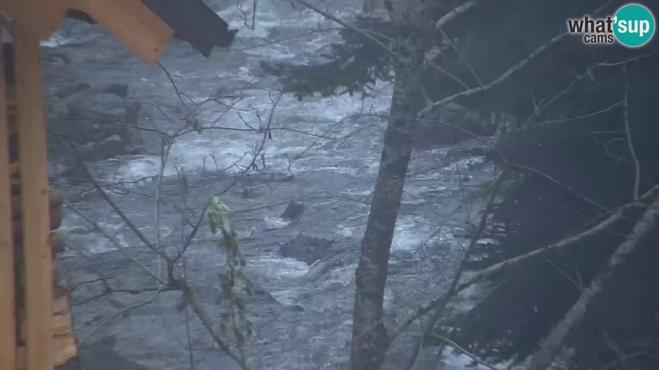 Webcam Lukanja – Water Village | Pohorje Houses