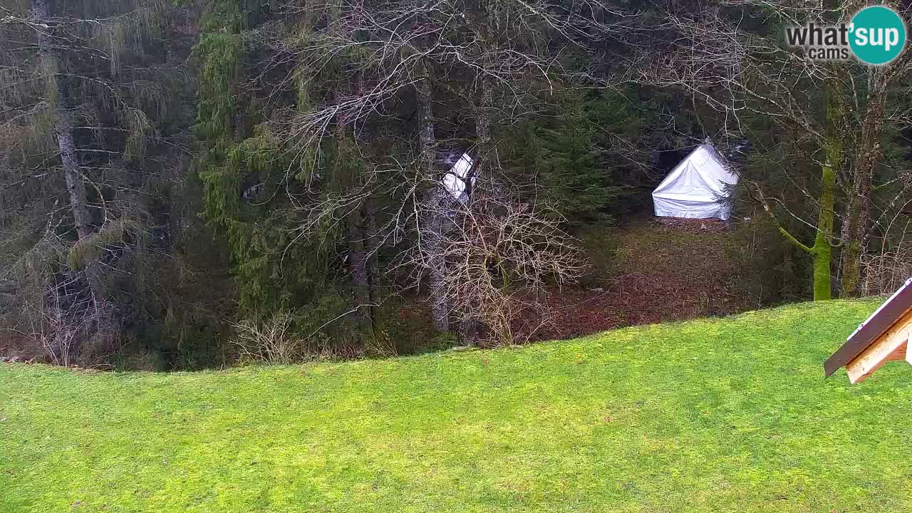 Webcam Lukanja – Water Village | Pohorje Houses