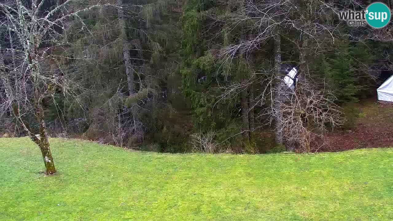 Webcam Lukanja – Water Village | Pohorje Houses