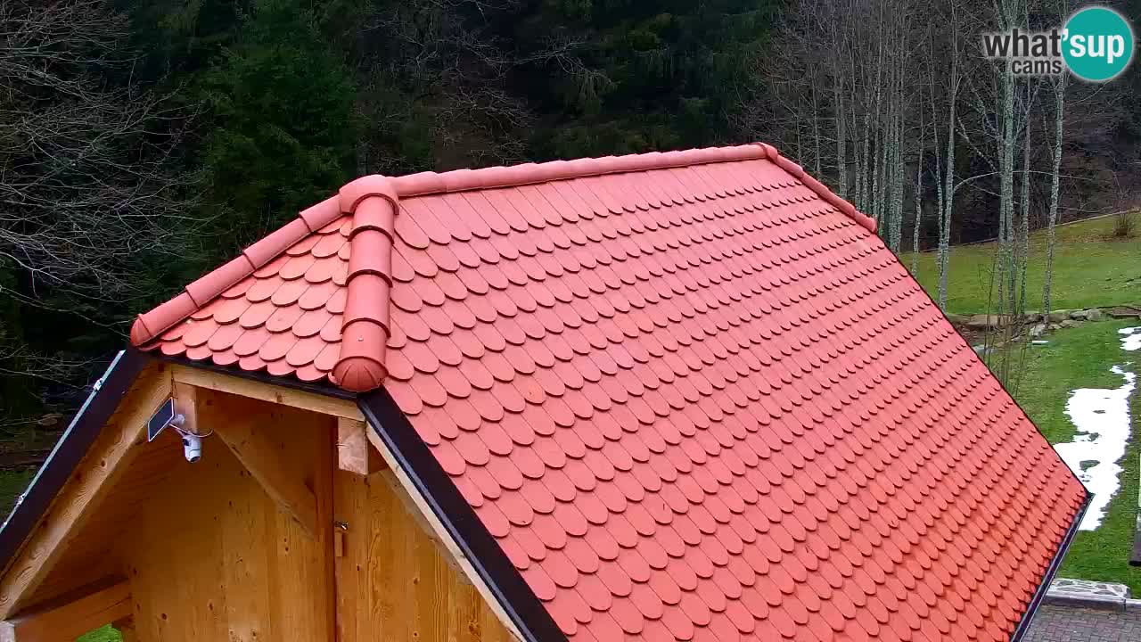 Webcam Lukanja – Water Village | Pohorje Houses