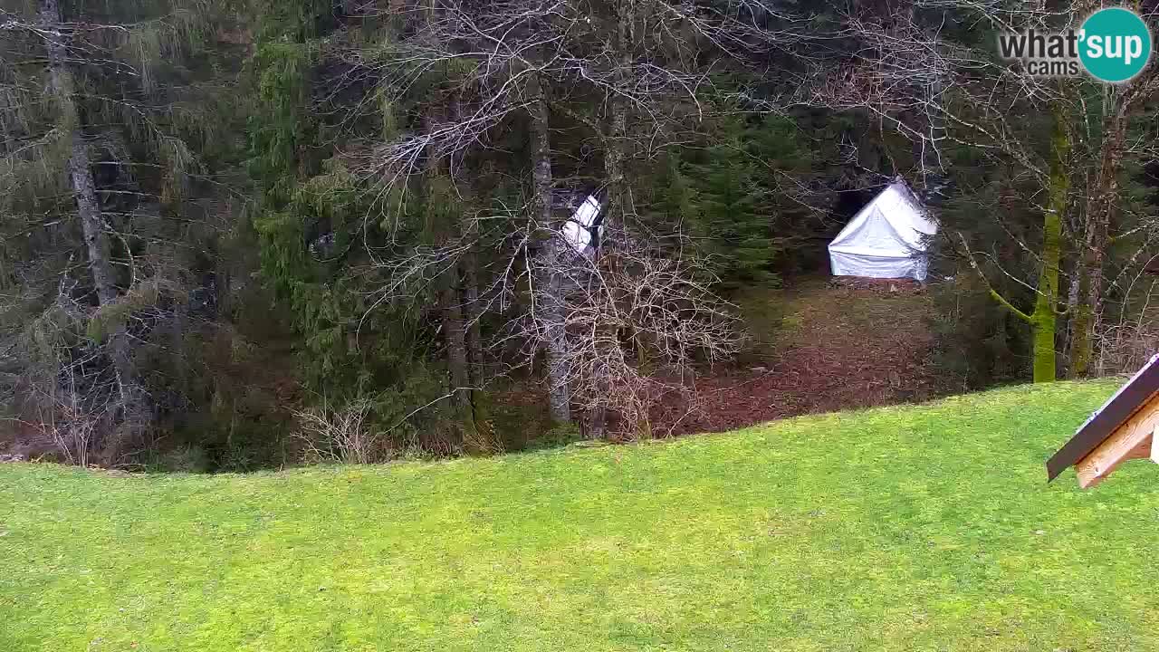 Webcam Lukanja – Water Village | Pohorje Houses