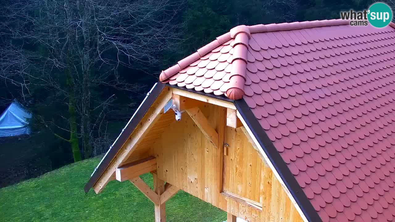 Webcam Lukanja – Pohorje houses a Water village