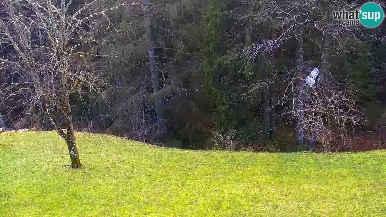 Webcam Lukanja – Water Village | Pohorje Houses