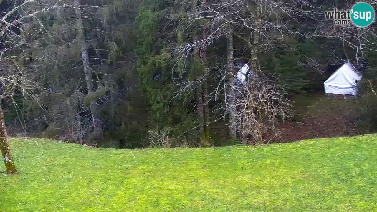 Web kamera Lukanja – Water Village | Pohorje Houses