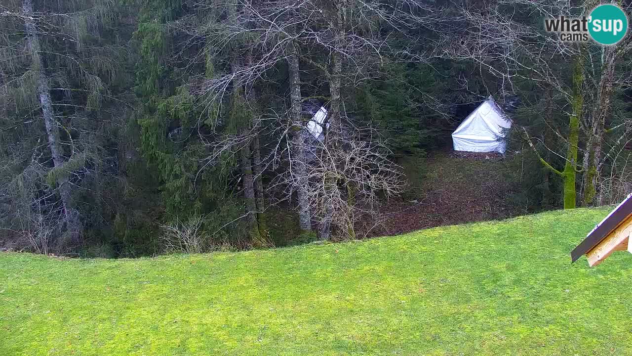 Webcam Lukanja – Water Village | Pohorje Houses