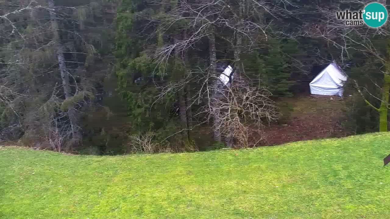 Webcam Lukanja – Water Village | Pohorje Houses