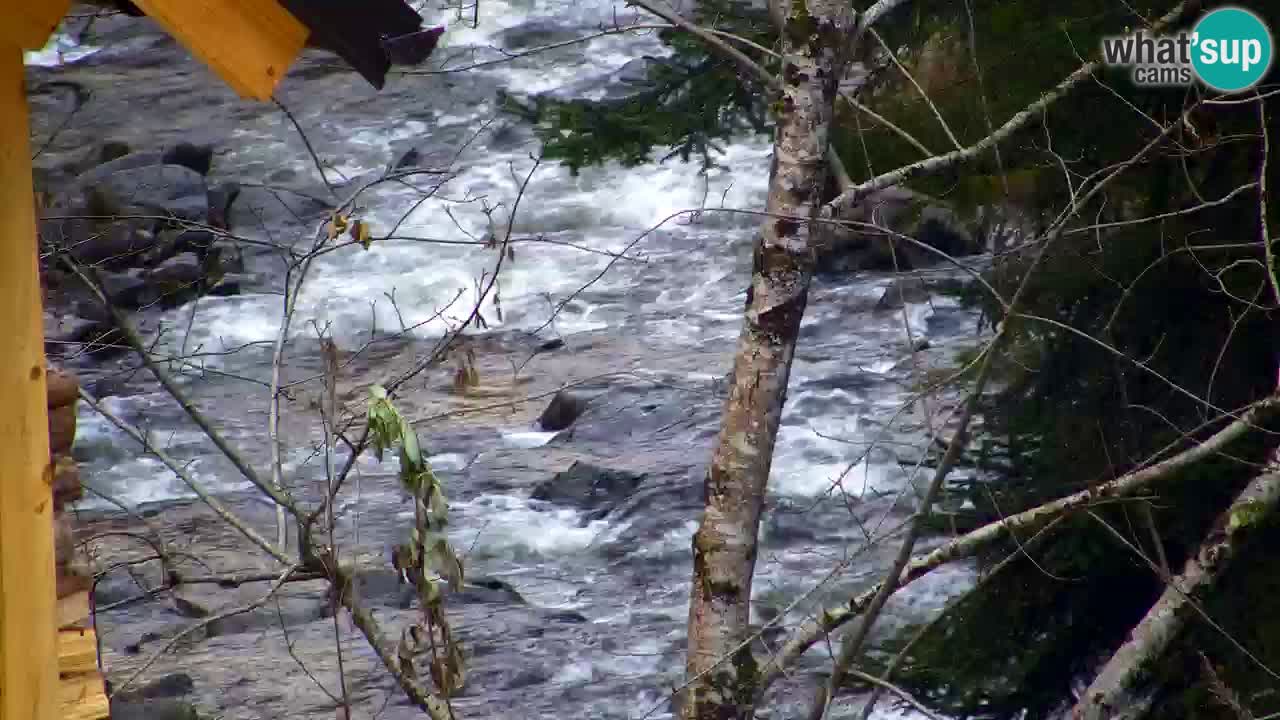 Webcam Lukanja – Water Village | Pohorje Houses