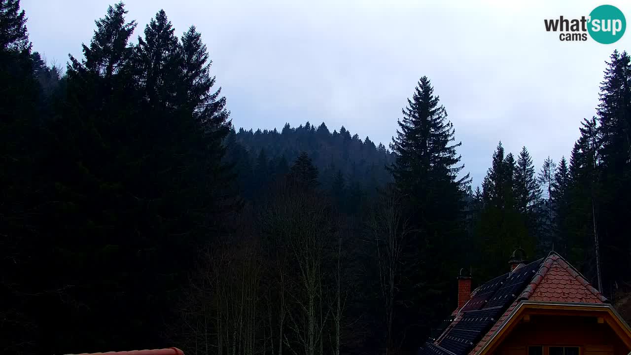 Webcam Lukanja – Water Village | Pohorje Houses