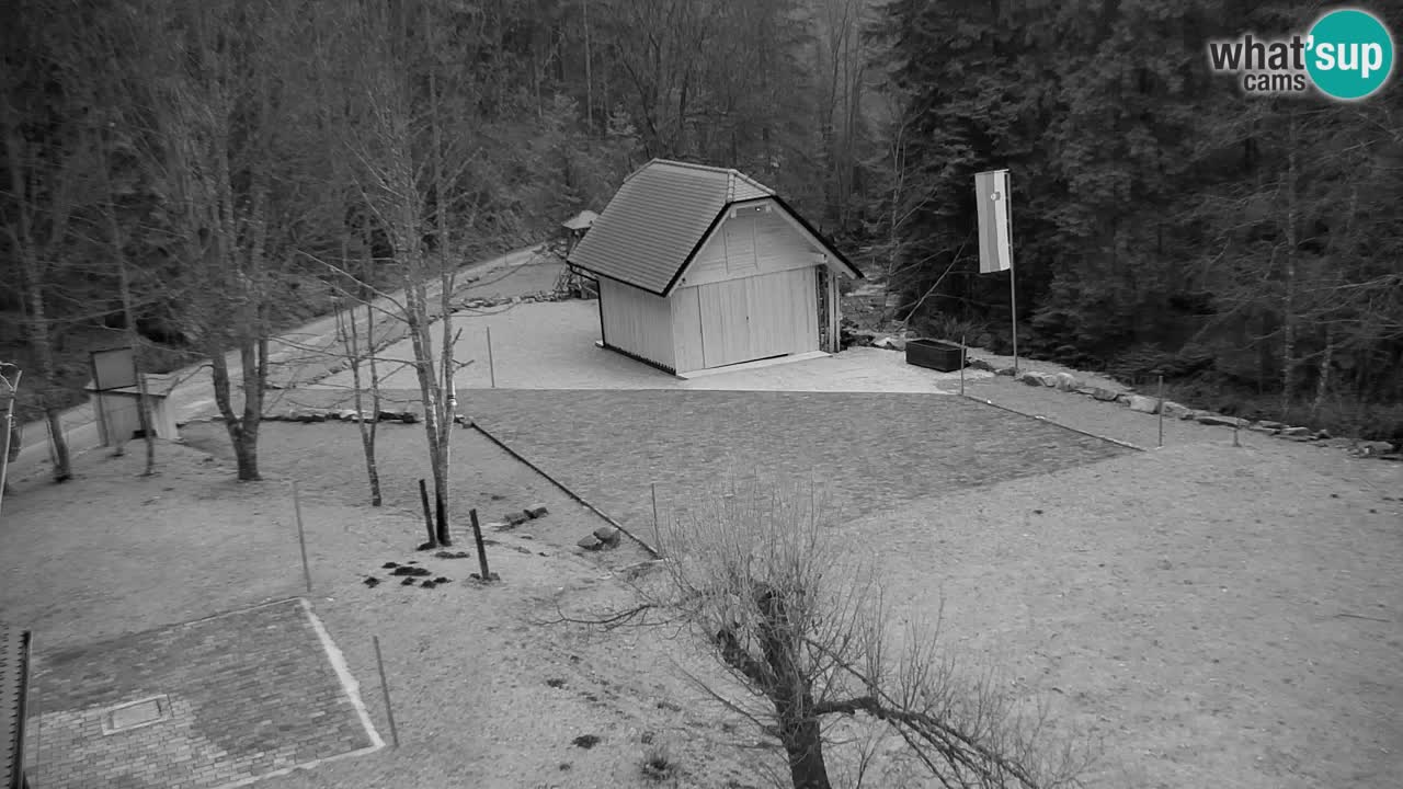 Webcam Lukanja – Water Village | Pohorje Houses