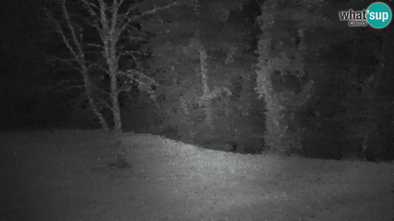 Spletna kamera Lukanja – Water Village | Pohorje Houses