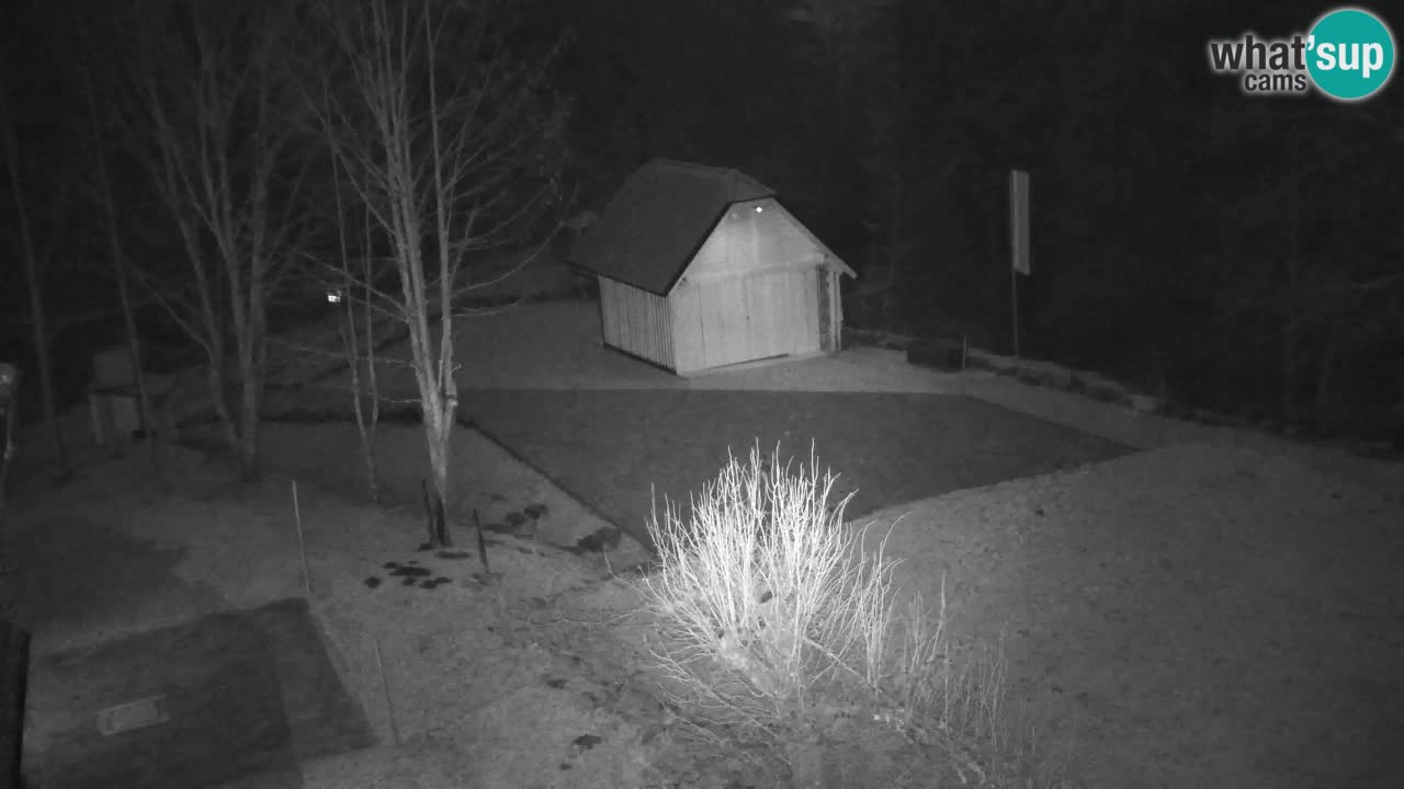 Webcam Lukanja – Water Village | Pohorje Houses