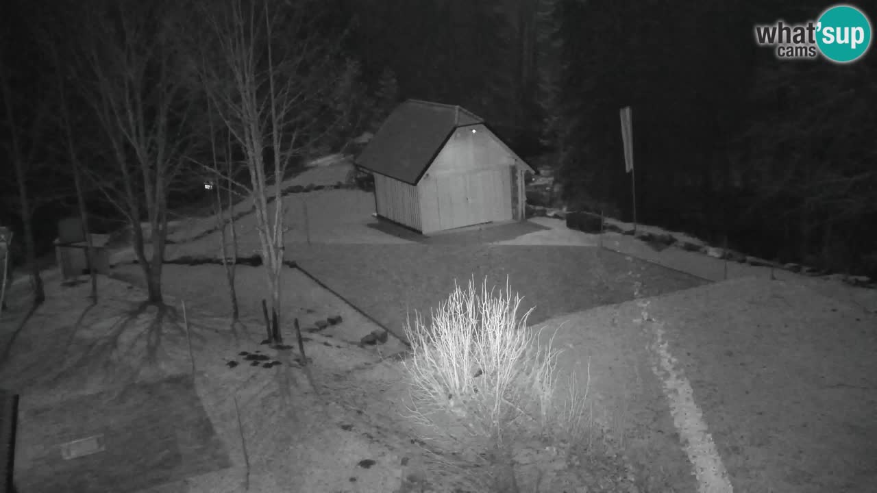 Webcam Lukanja – Water Village | Pohorje Houses